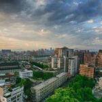 Inside the Conservation Effort To Restore Manas National Park’s Wildlife & Ecological Balance