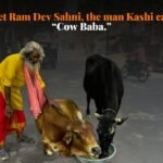 Kashi’s “Cow Baba” Has Been Feeding Stray Cows for Years. Now He Needs Support for an Electric Toto Vehicle.