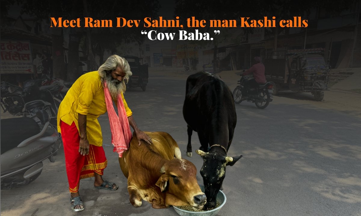Kashi’s “Cow Baba” Has Been Feeding Stray Cows for Years. Now He Needs Support for an Electric Toto Vehicle.